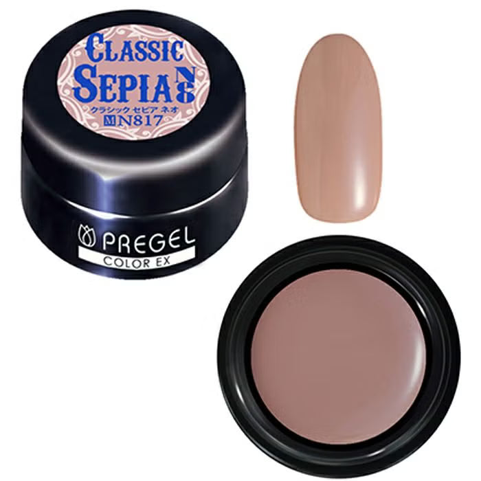 PREGEL COLOR EX 817 CLASSIC SEPIA