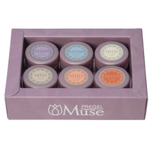 Load image into Gallery viewer, PREGEL MUSE RICH GELATO SERIES