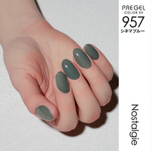 Load image into Gallery viewer, PREGEL COLOR EX 957 CINEMA BLUE