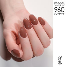 Load image into Gallery viewer, PREGEL COLOR EX 960 BRICK ROSE