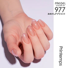 Load image into Gallery viewer, PREGEL COLOR EX 977 DRESS APRICOT