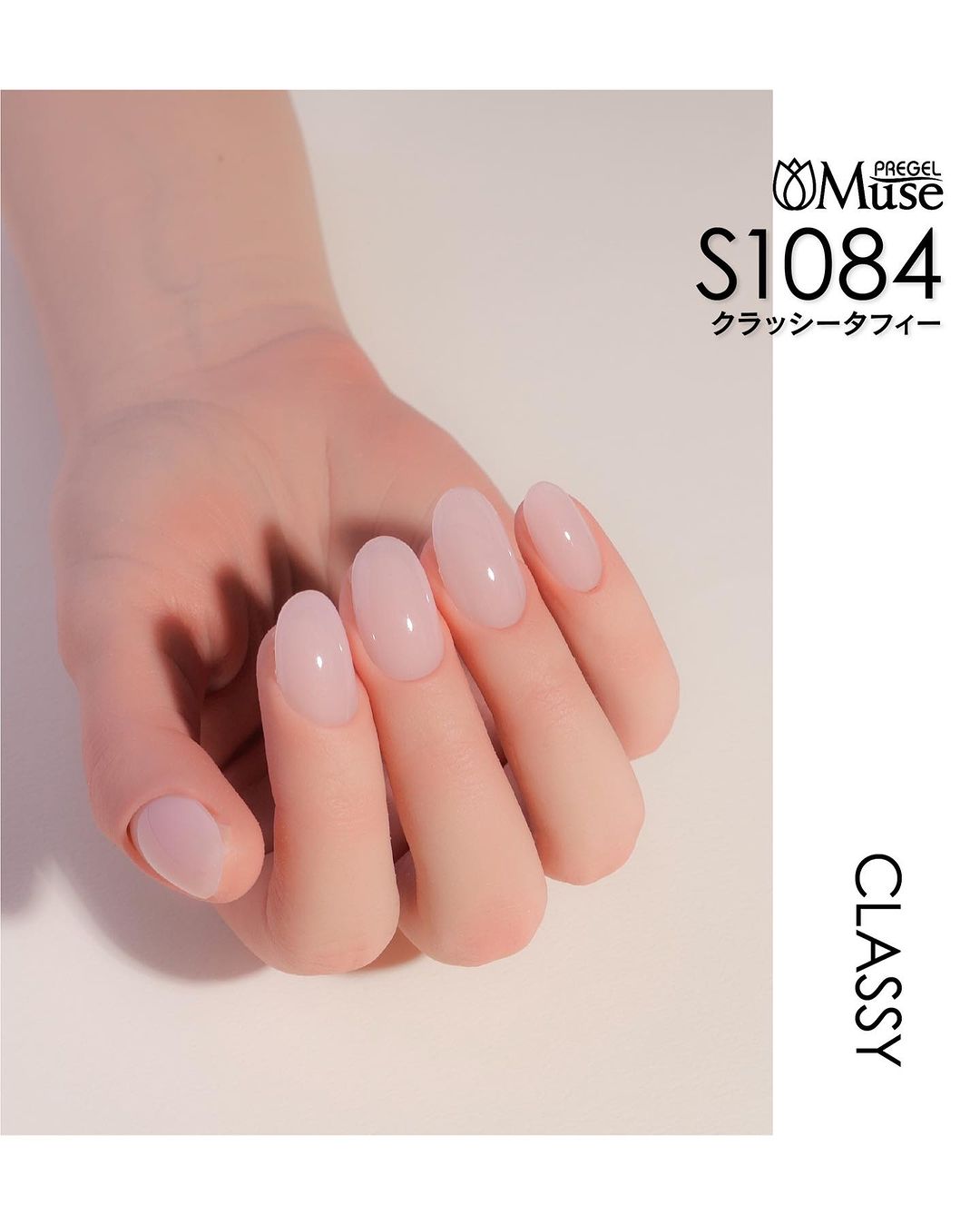 PREGEL MUSE CLASSY SERIES