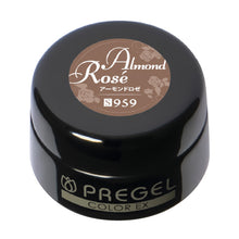 Load image into Gallery viewer, PREGEL COLOR EX 959 ALMOND ROSE