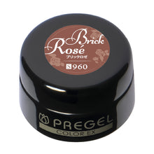 Load image into Gallery viewer, PREGEL COLOR EX 960 BRICK ROSE