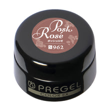 Load image into Gallery viewer, PREGEL COLOR EX 962 POSH ROSE