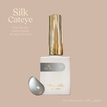 Load image into Gallery viewer, MIDDLE BY RUYIYA - SILK CAT EYE GEL SET