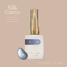 Load image into Gallery viewer, MIDDLE BY RUYIYA - SILK CAT EYE GEL SET