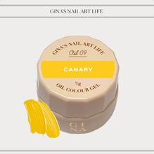 Load image into Gallery viewer, RUYIYA × GINA OIL COLOR GEL SET
