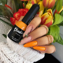 Load image into Gallery viewer, DIDIER STUDIOS - OBSESSION #117