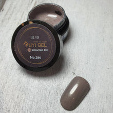 Load image into Gallery viewer, RUYI GEL NO.286