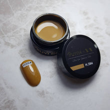Load image into Gallery viewer, RUYI GEL NO.384