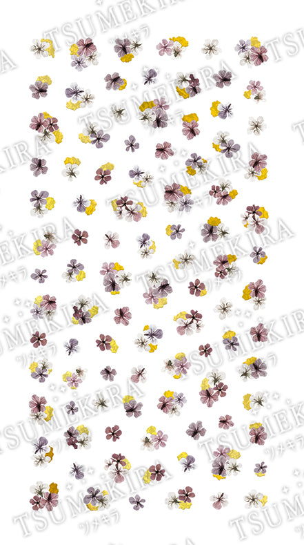 TSUMEKIRA 【NOBLE】 DRIED FLOWERS & GOLD LEAF 2 | NO-DFG-102