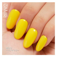 Load image into Gallery viewer, PREGEL MUSE M313 PINE YELLOW