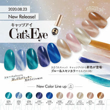 Load image into Gallery viewer, KIMAGURE CAT EYE GEL 6713 COCOA POUND EYE