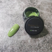 Load image into Gallery viewer, RUYI GEL NO.403