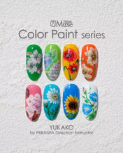 Load image into Gallery viewer, PREGEL MUSE COLOUR PAINT SERIES