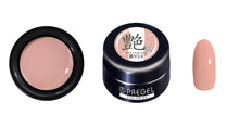 Load image into Gallery viewer, PREGEL COLOR EX 924 GLOSSY SKIN