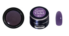 Load image into Gallery viewer, PREGEL COLOR EX 930 GEM VIOLET