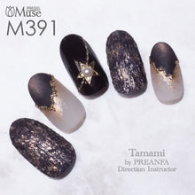 Load image into Gallery viewer, PREGEL MUSE M391 DARK ASH NIGHT