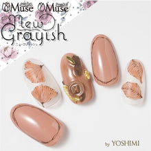 Load image into Gallery viewer, PREGEL MUSE M250 DARK DE BEIGE