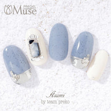 Load image into Gallery viewer, PREGEL MUSE GP310 SANDY BRUGE