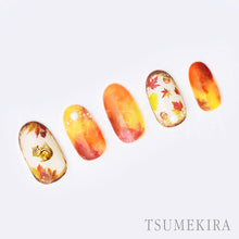 Load image into Gallery viewer, TSUMEKIRA AUTUMN ASSORTMENT | NN-ALS-101