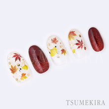 Load image into Gallery viewer, TSUMEKIRA AUTUMN ASSORTMENT | NN-ALS-101