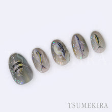 Load image into Gallery viewer, TSUMEKIRA DAISY × FISH COLORFUL | NN-DAI-026