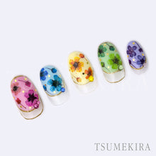 Load image into Gallery viewer, TSUMEKIRA DRIED FLOWER DOUBLE SIDED 2 | NN-DFR-102