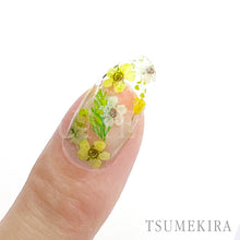 Load image into Gallery viewer, TSUMEKIRA DRIED FLOWER DOUBLE SIDED 3 | NN-DFR-103