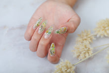 Load image into Gallery viewer, TSUMEKIRA DRIED FLOWER DOUBLE SIDED 3 | NN-DFR-103