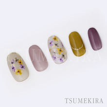 Load image into Gallery viewer, TSUMEKIRA MOMO × WHAT A DRIED FLOWER CORAL | NN-MOM-103