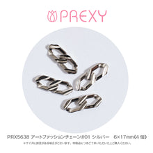 Load image into Gallery viewer, ART FASHION CHAIN #01 SILVER PRX5638