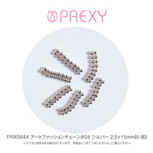 Load image into Gallery viewer, ART FASHION CHAIN #04 SILVER PRX5644
