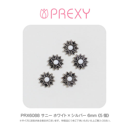 SUNNY WHITE X SILVER