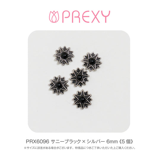 SUNNY BLACK X SILVER