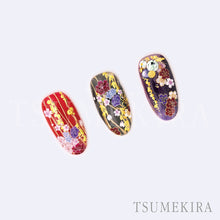 Load image into Gallery viewer, TSUMEKIRA MASASHI TAKAGI × OTOMEHANA GOLD | SG-TAK-002