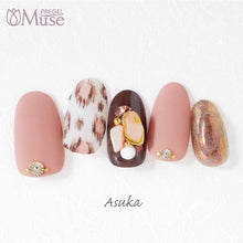 Load image into Gallery viewer, PREGEL MUSE M250 DARK DE BEIGE