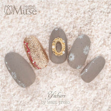 Load image into Gallery viewer, PREGEL MUSE GP308 SANDY WOOD