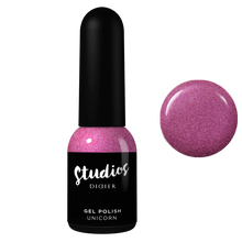 Load image into Gallery viewer, DIDIER STUDIOS - UNICORN #059