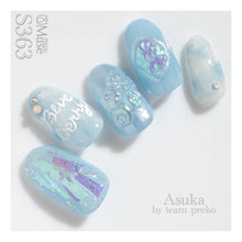 Load image into Gallery viewer, PREGEL MUSE S363 BLUEBERRY MACARON