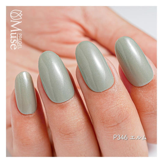 PREGEL MUSE P346 ELM