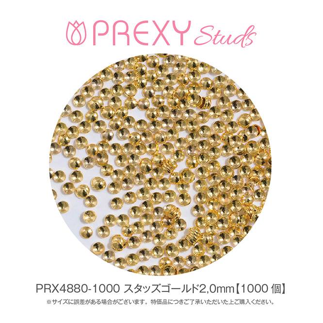 PREXY STUDS GOLD 2.0mm PRX4880