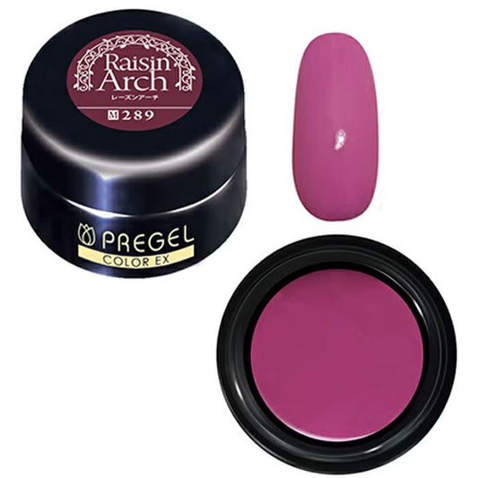 PREGEL COLOR EX 289 RAISIN ARCH