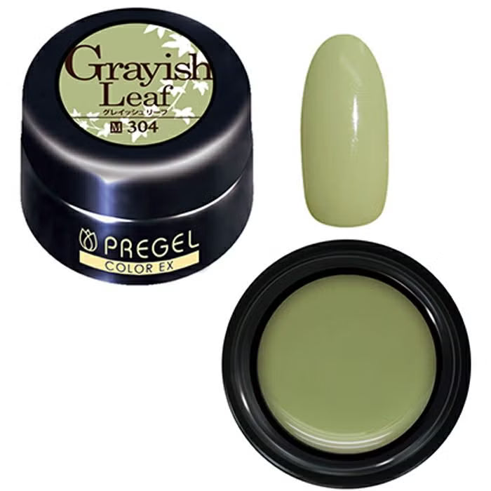 PREGEL COLOR EX 304 GRAYISH LEAF