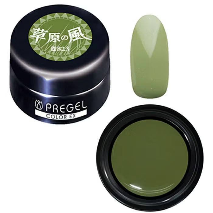 PREGEL COLOR EX 823 MEADOW'S WIND