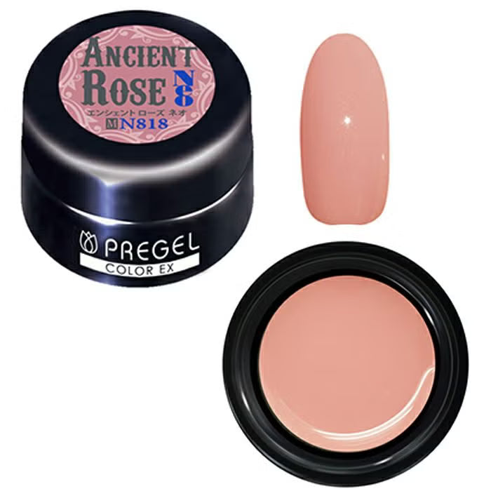 PREGEL COLOR EX 818 ANCIENT ROSE