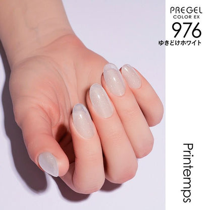 PREGEL COLOR EX 976 MELTING WHITE