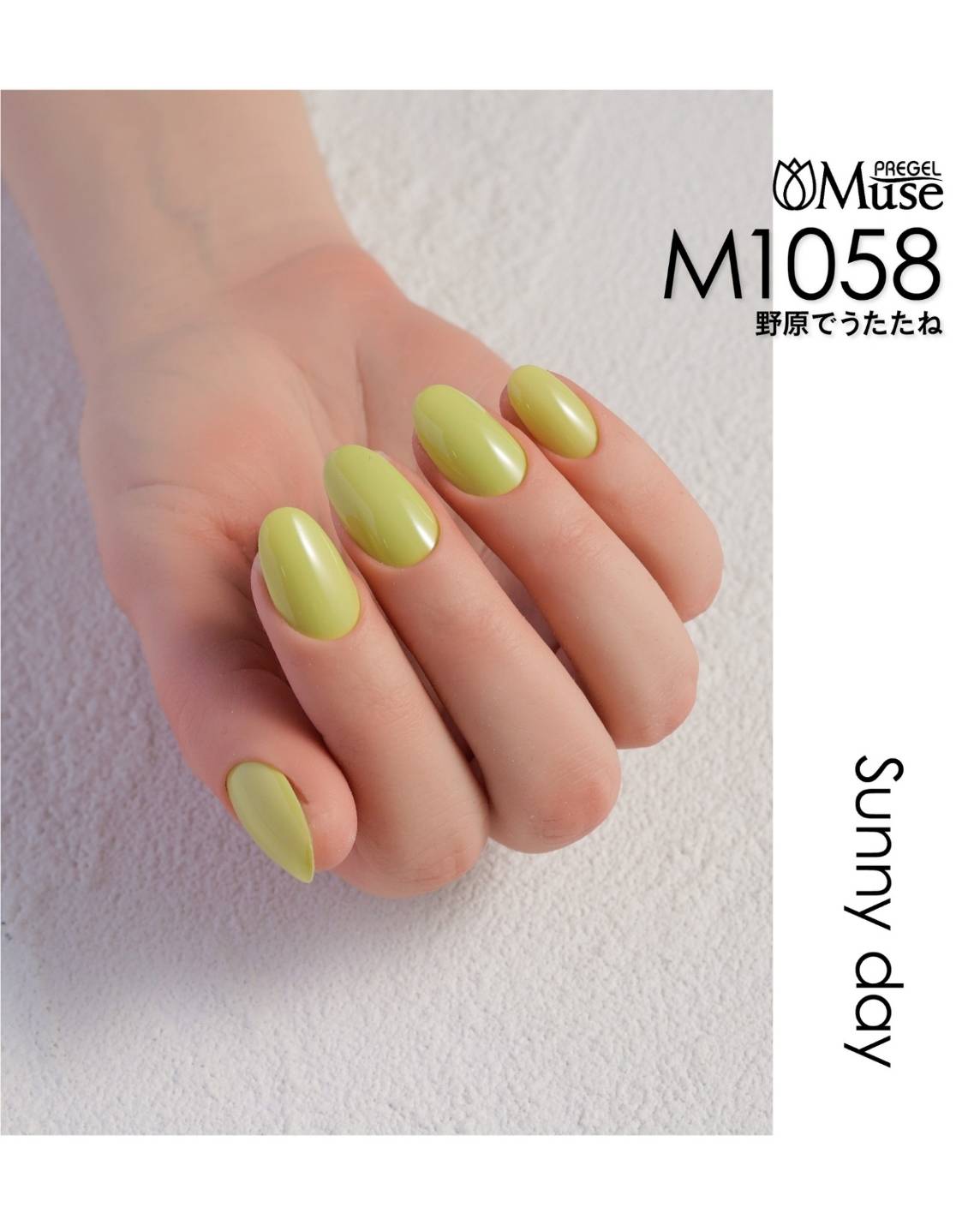 PREGEL MUSE SUNNY DAY SERIES