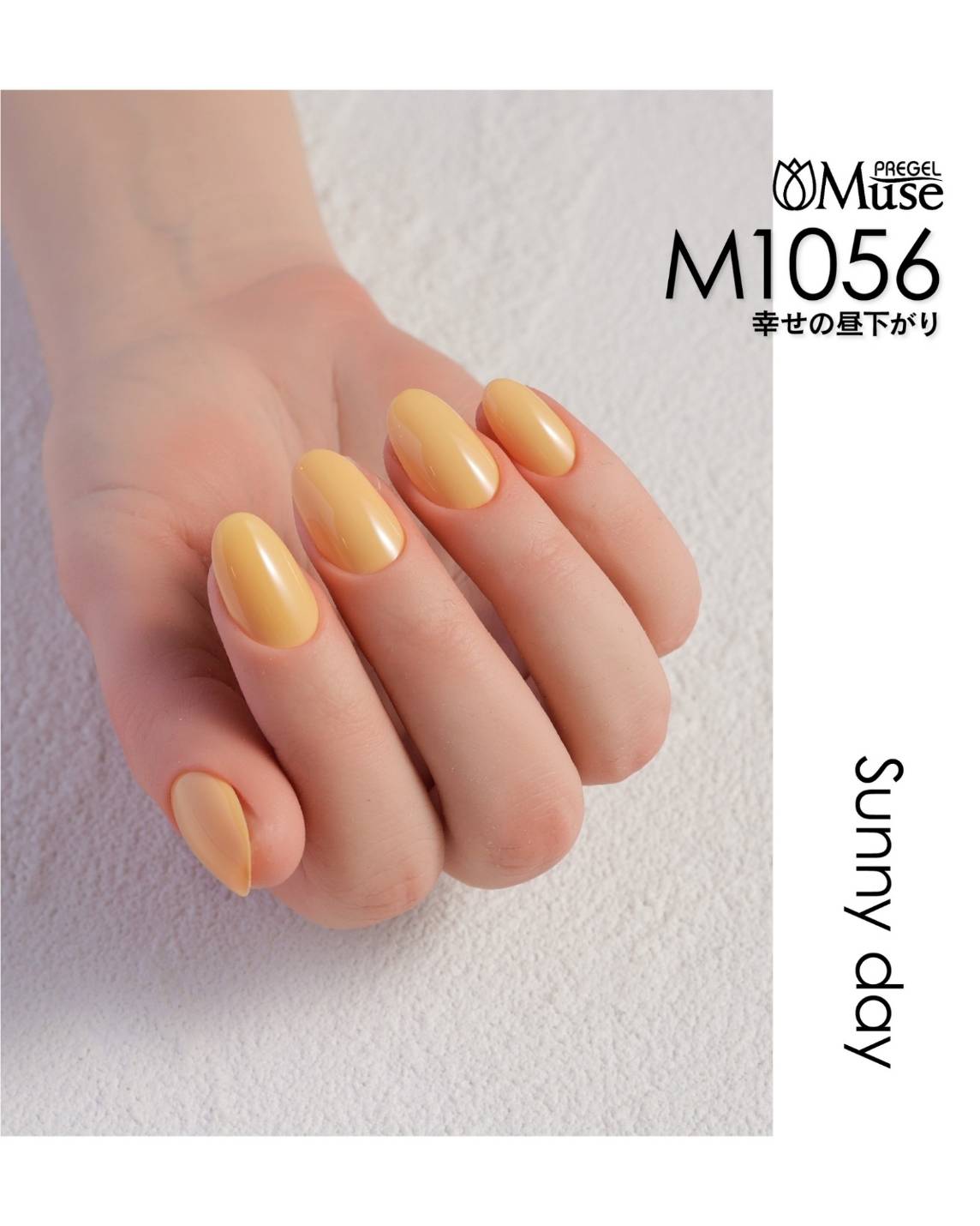 PREGEL MUSE SUNNY DAY SERIES